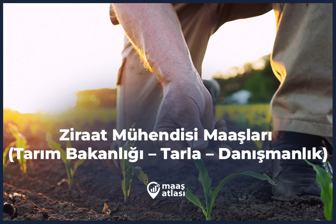 Ziraat Mühendisi Maaşları 2025 (Tarım Bakanlığı – Tarla – Danışmanlık)