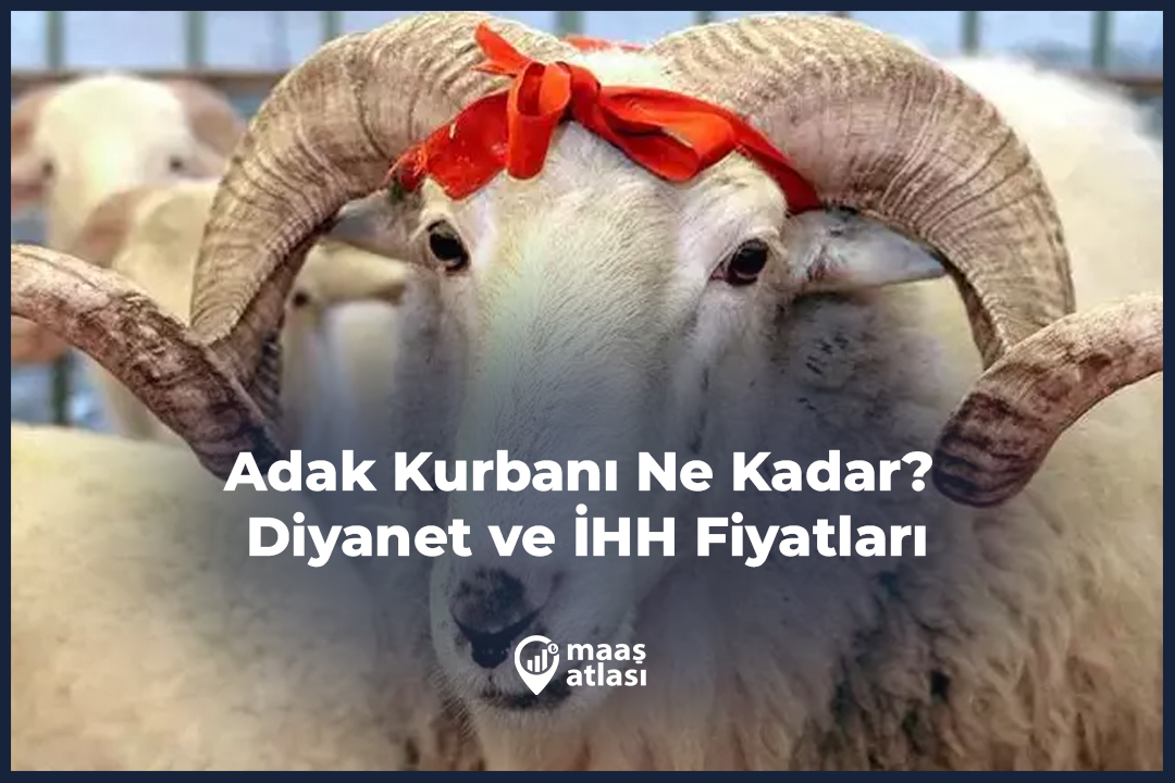 Adak Kurbanı Ne Kadar 2025 Diyanet ve İHH Fiyatları