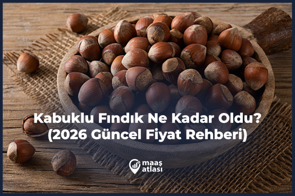 Kabuklu Fındık Ne Kadar Oldu? (2026 Güncel Fiyat Rehberi)