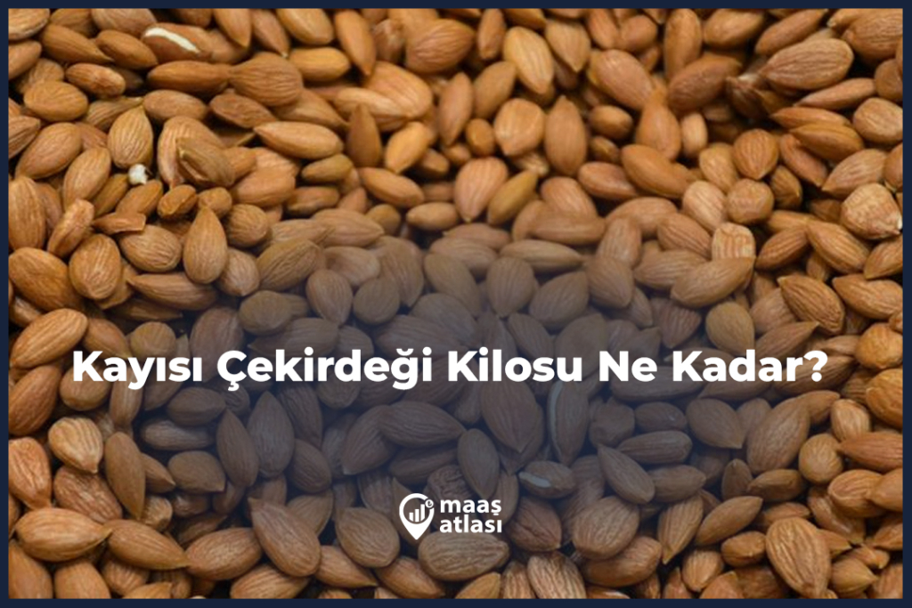 Kayısı Çekirdeği Kilosu Ne Kadar? (2025 Piyasa)