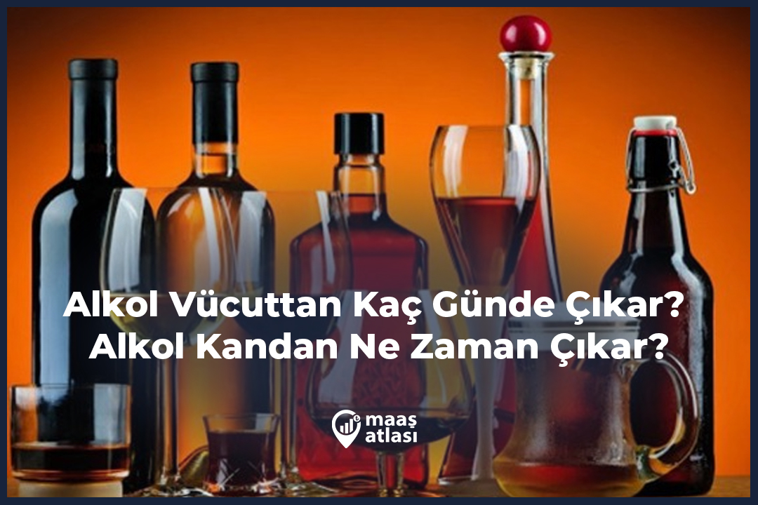 Alkol Vücuttan Kaç Günde Çıkar? Alkol Kandan Ne Zaman Çıkar?