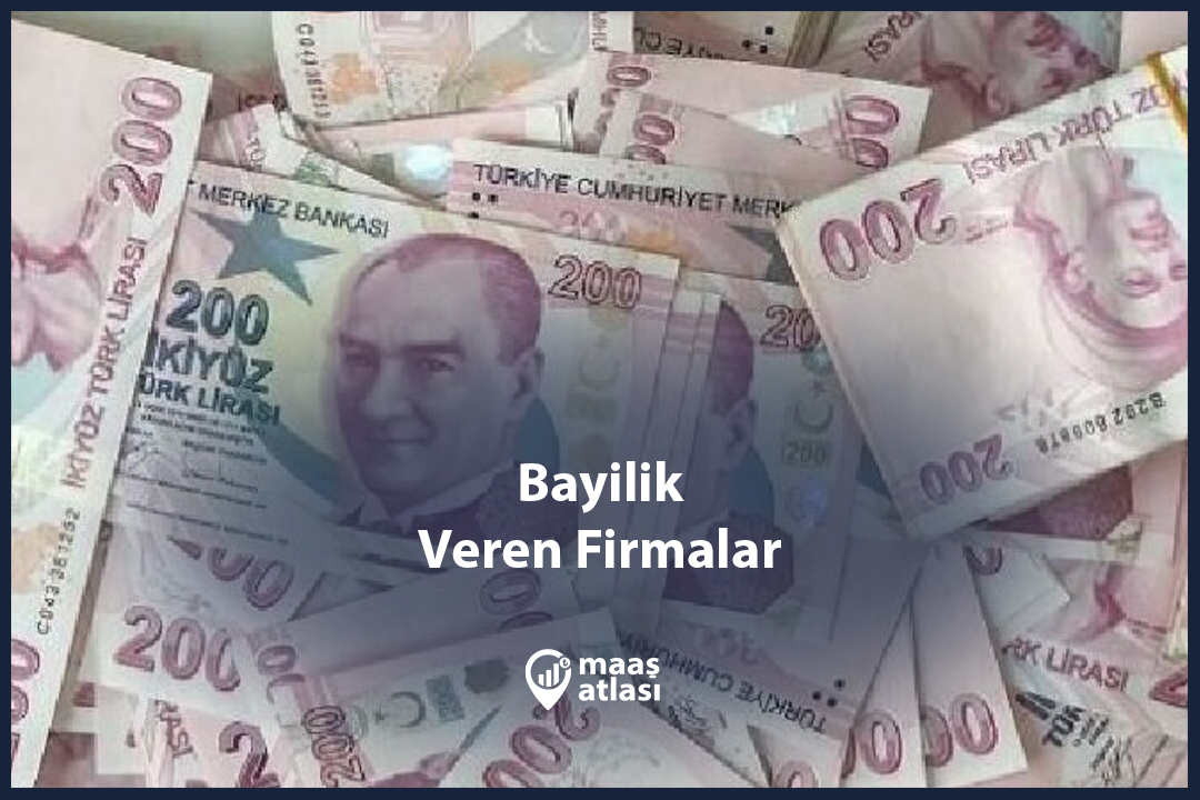 Bayilik Veren Firmalar