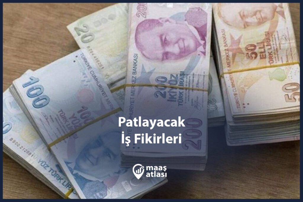 Patlayacak İş Fikirleri