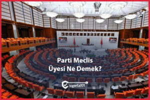 Parti Meclis Üyesi Ne Demek?