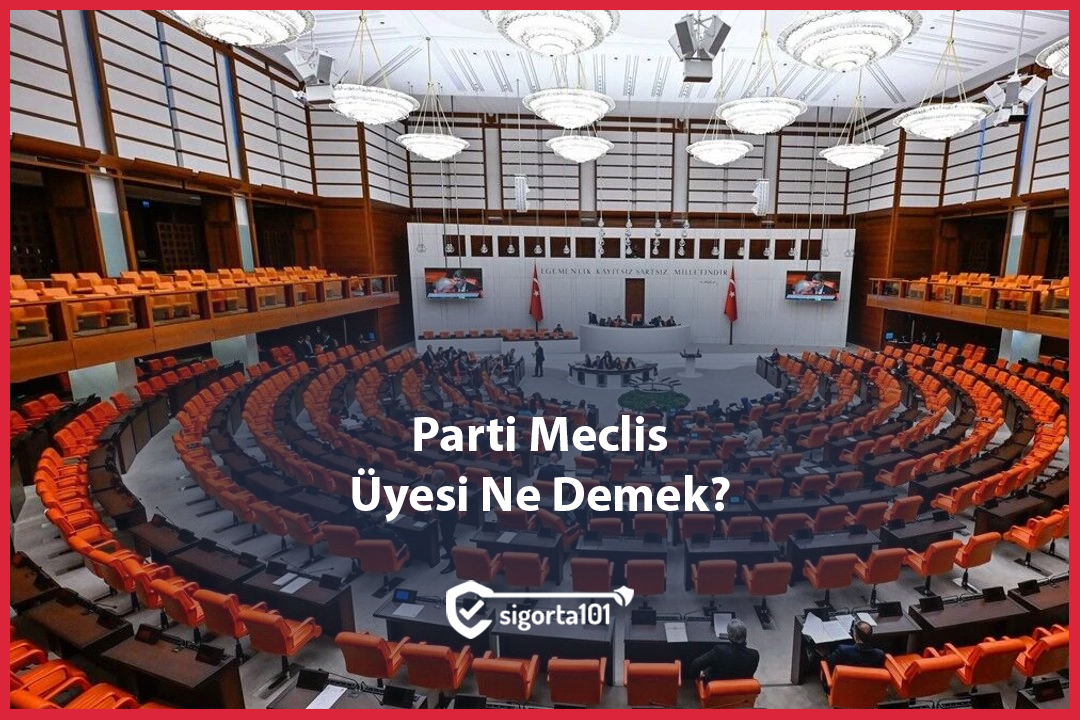 Parti Meclis Üyesi Ne Demek?